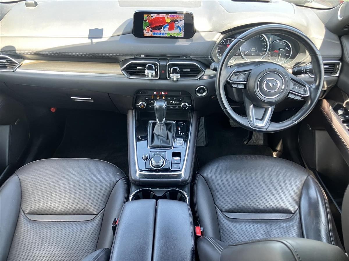 2019 Mazda CX-8 thumbnail