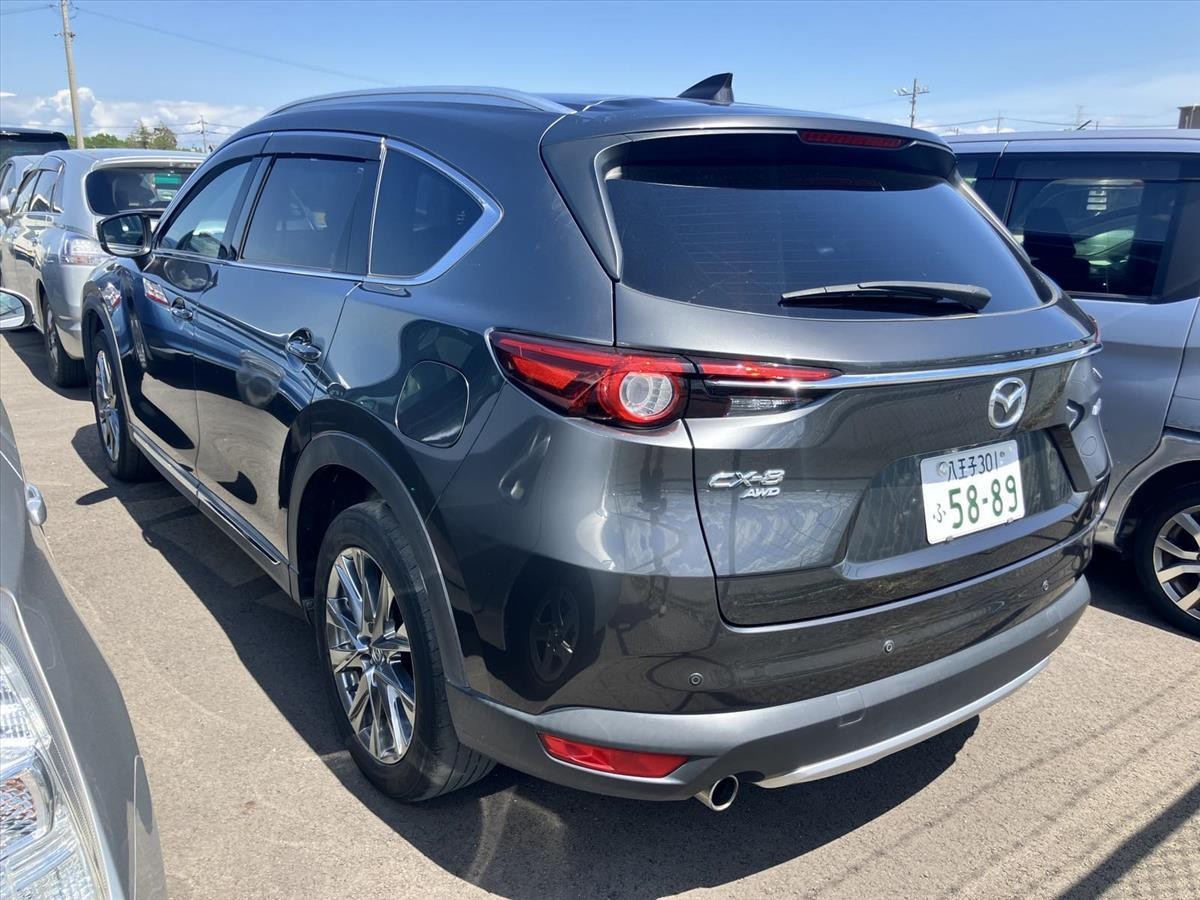 2019 Mazda CX-8 thumbnail