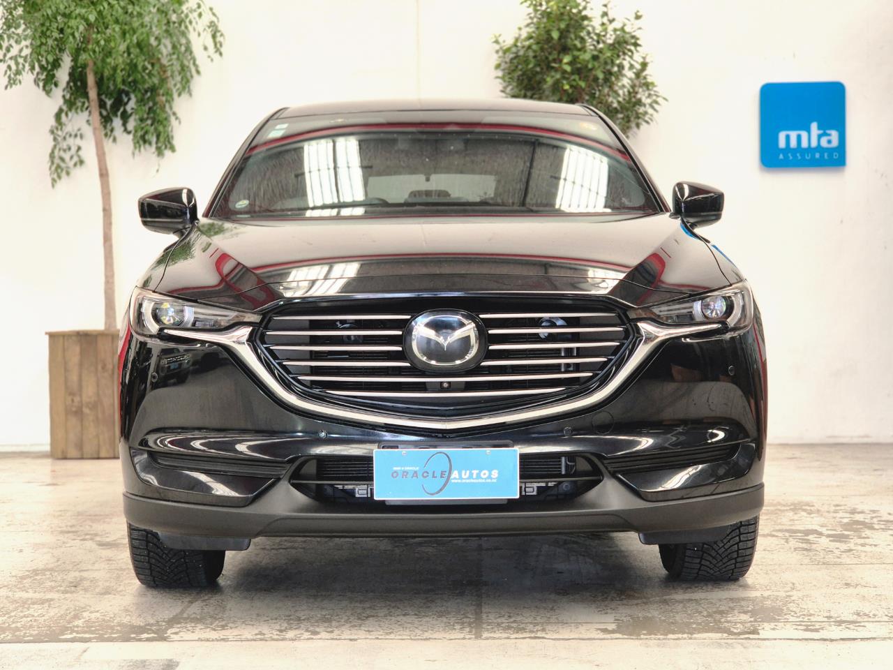 2019 Mazda CX-8 thumbnail