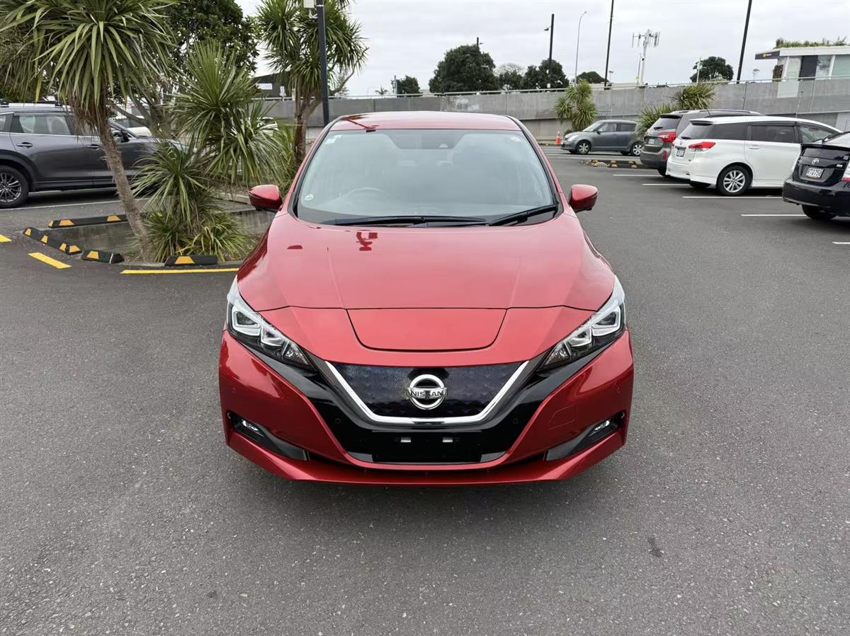 2019 Nissan Leaf