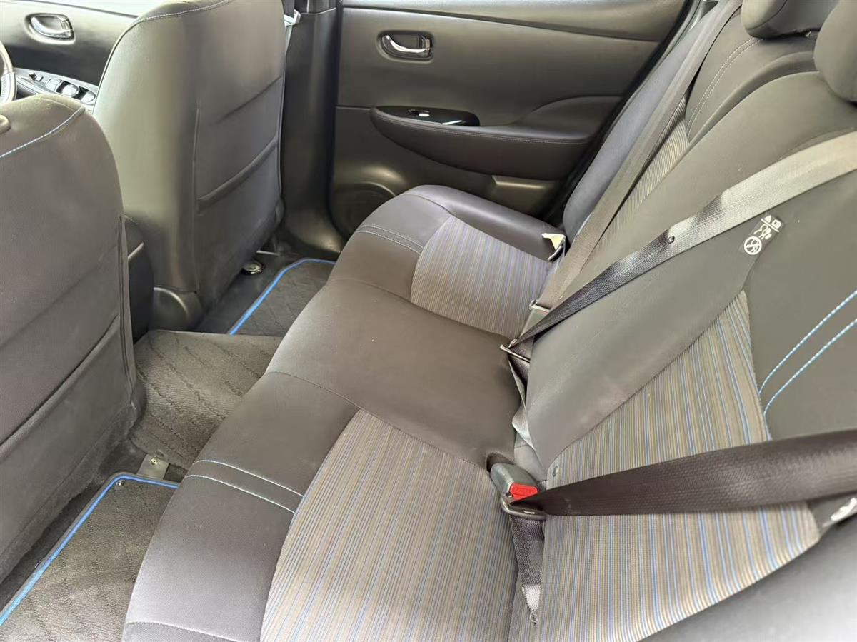 2019 Nissan Leaf thumbnail