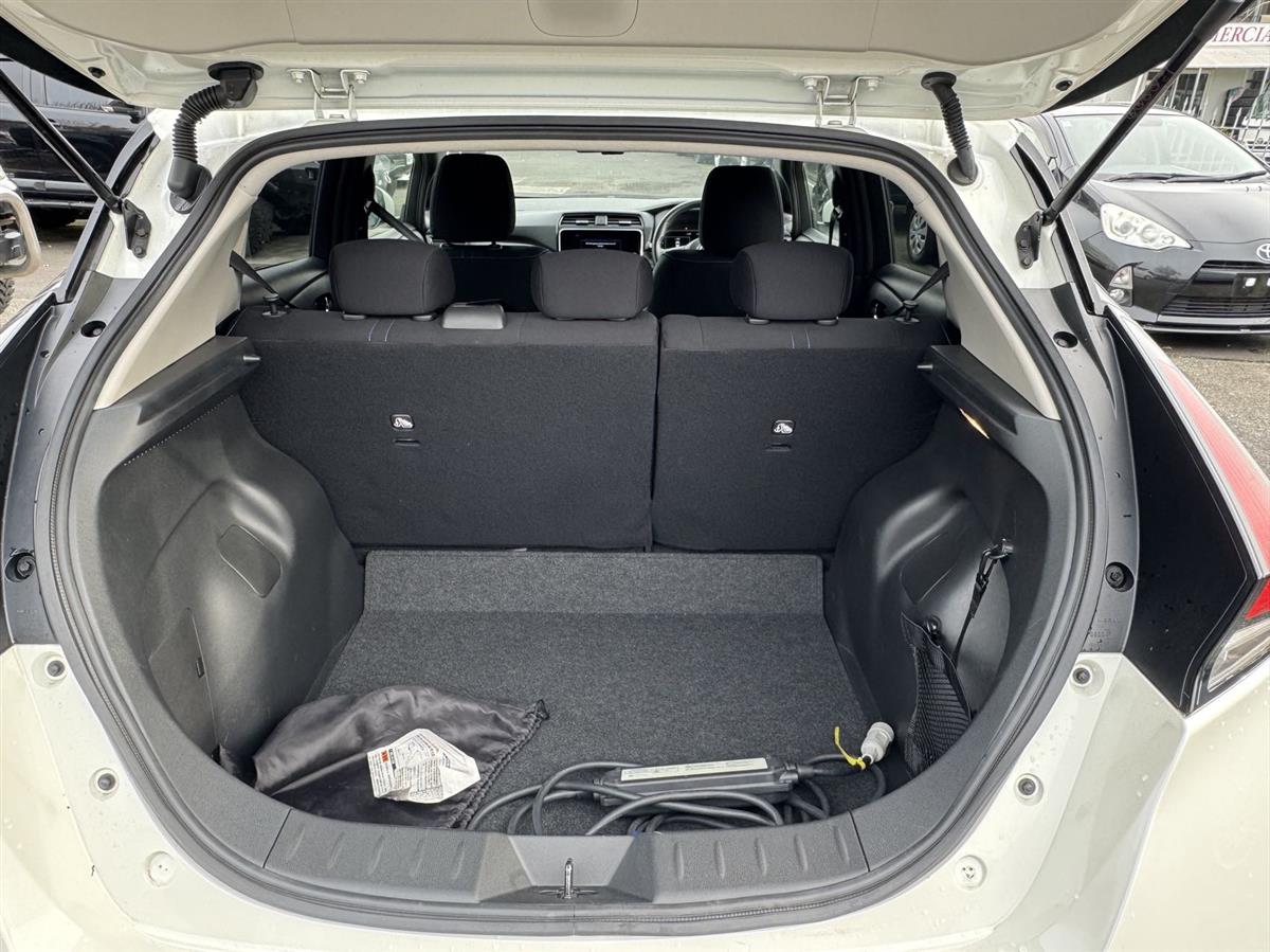2020 Nissan Leaf thumbnail