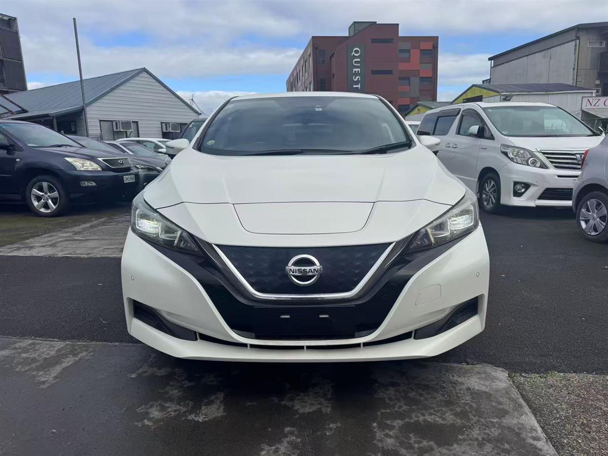 2020 Nissan Leaf thumbnail