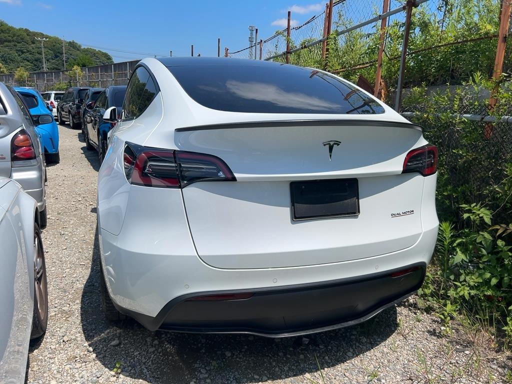 2023 Tesla Model thumbnail