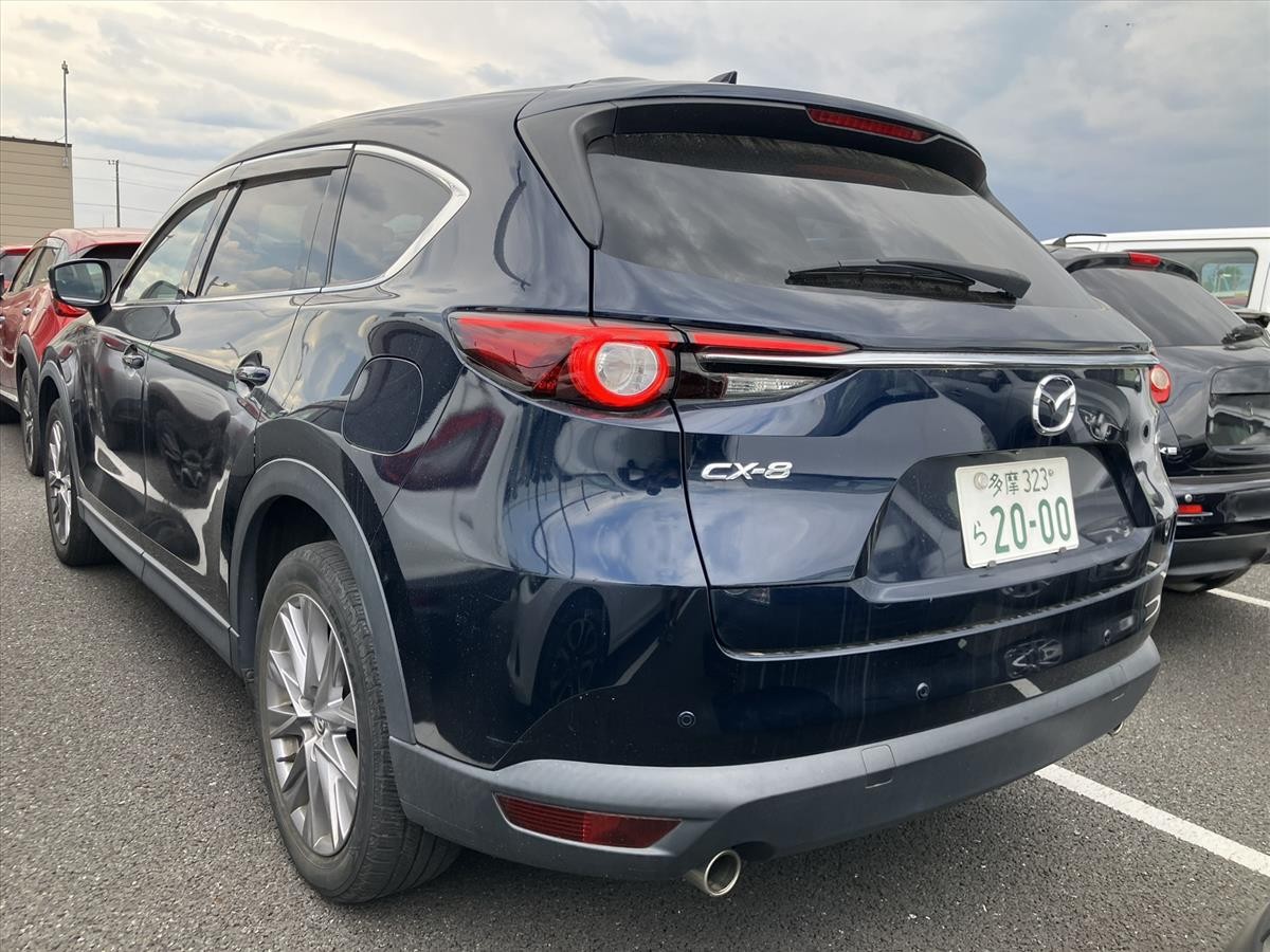 2019 Mazda CX-8 thumbnail