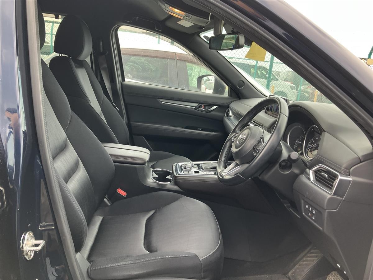 2019 Mazda CX-8 thumbnail