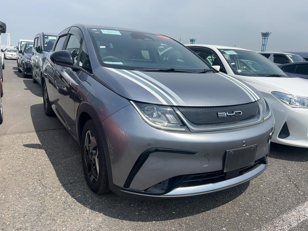 2025 Byd Dolphin thumbnail