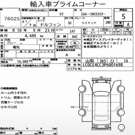 2025 Byd Dolphin thumbnail