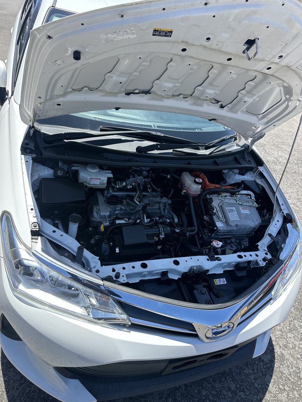 2019 Toyota Corolla thumbnail