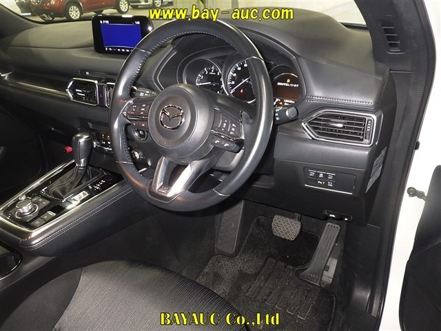 2019 Mazda CX-8 thumbnail