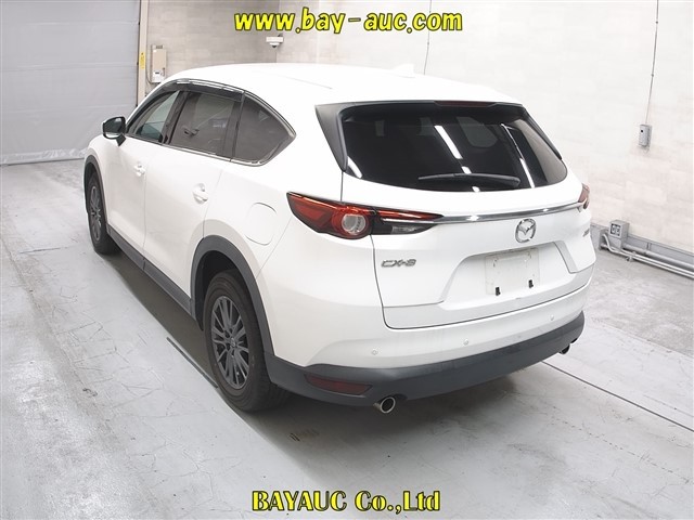 2019 Mazda CX-8 thumbnail