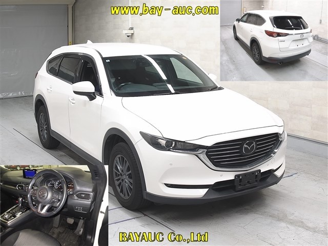 2019 Mazda CX-8 thumbnail