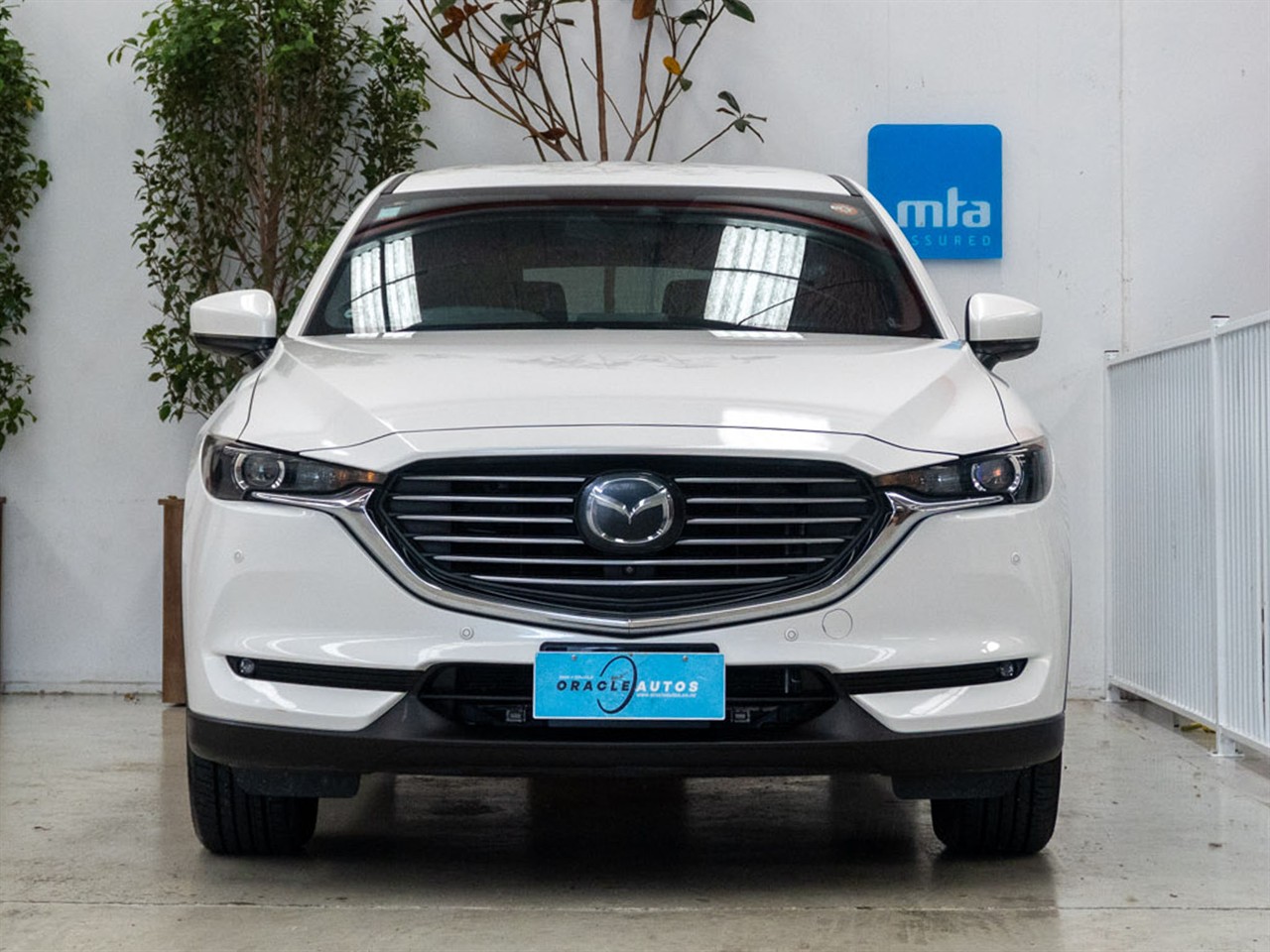 2019 Mazda CX-8 thumbnail