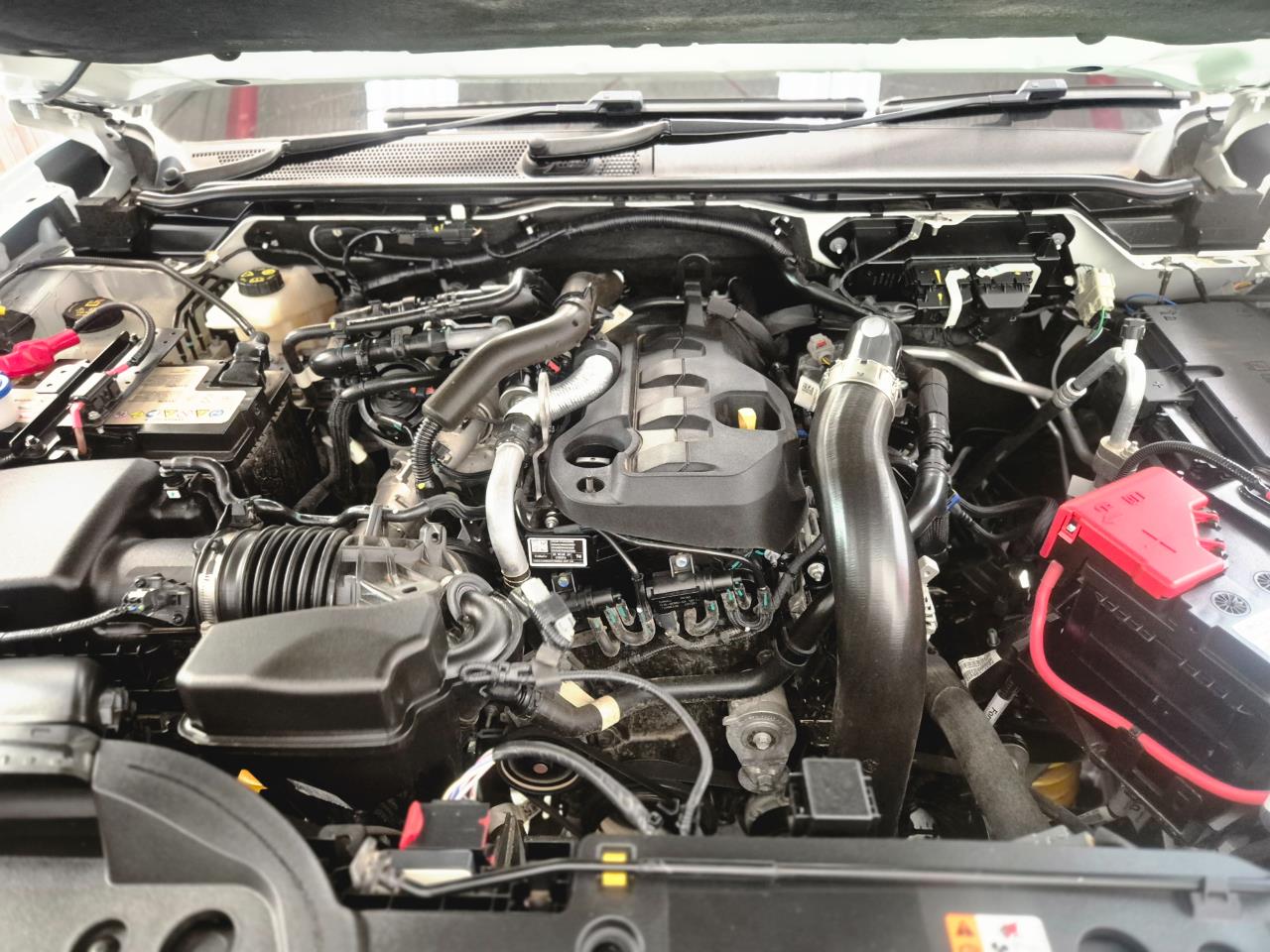 2024 Ford Everest thumbnail