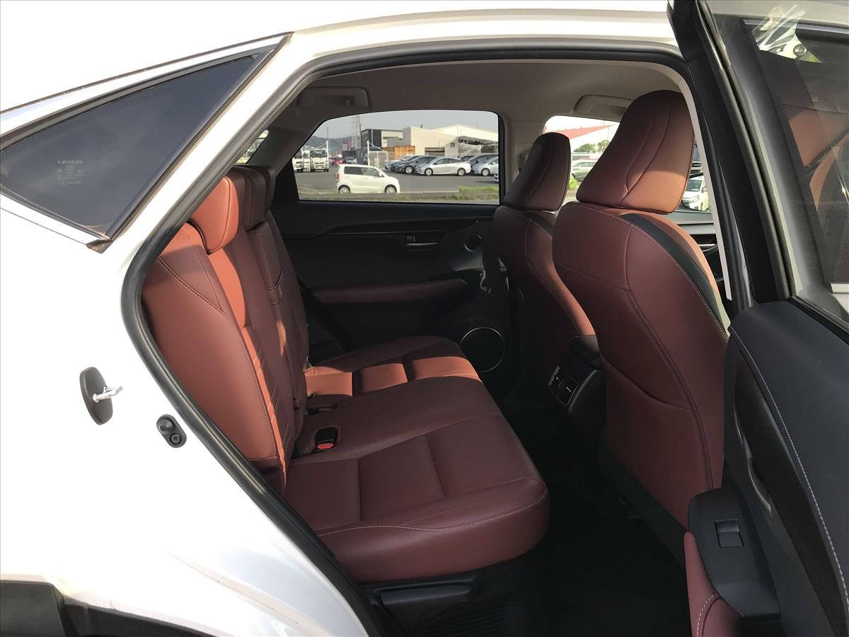 2014 Lexus NX200t thumbnail