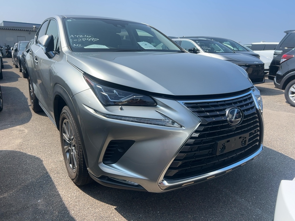 2020 Lexus NX thumbnail
