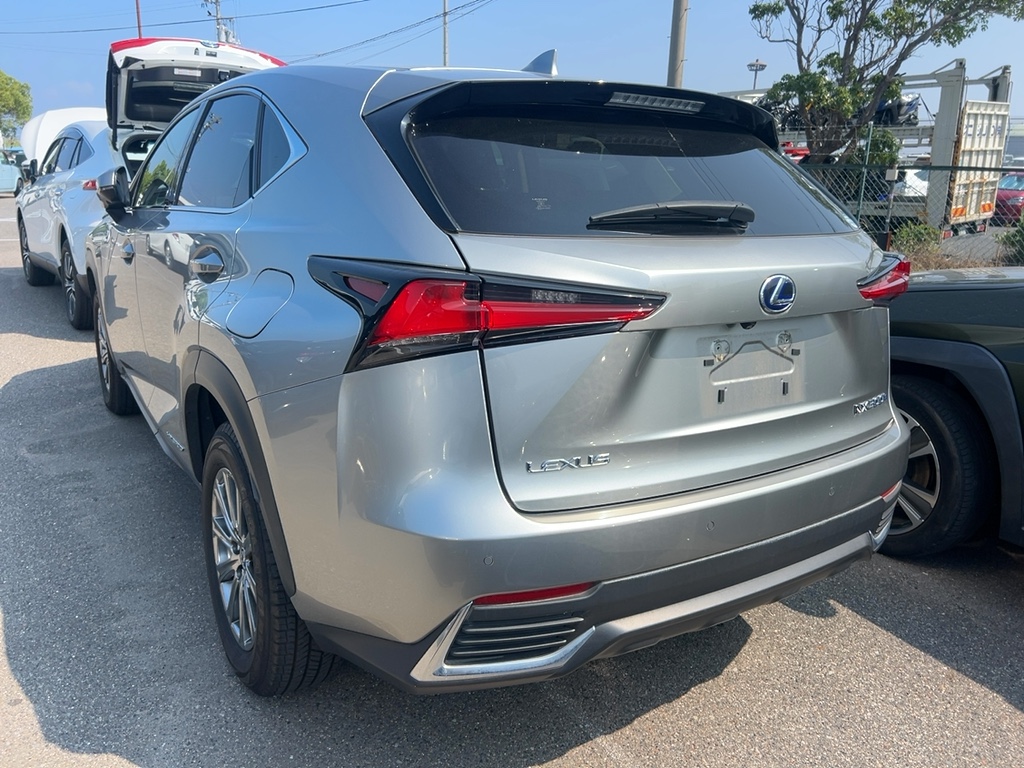 2020 Lexus NX thumbnail