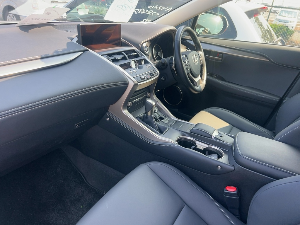 2020 Lexus NX thumbnail