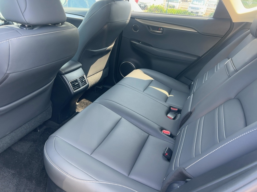 2020 Lexus NX thumbnail
