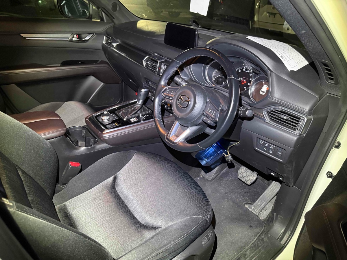 2018 Mazda CX-8 thumbnail