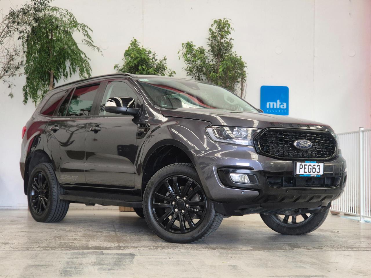 2022 Ford Everest thumbnail