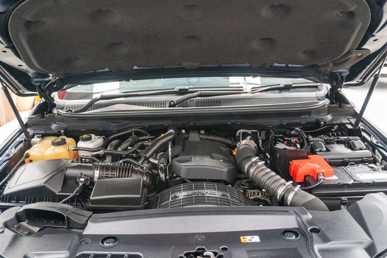 2020 Ford Everest thumbnail