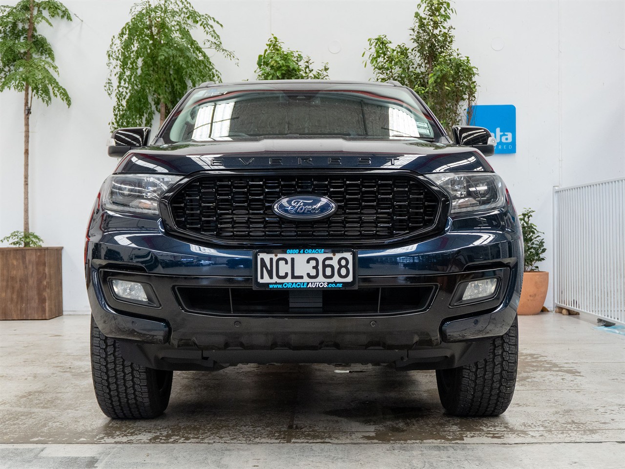 2020 Ford Everest thumbnail