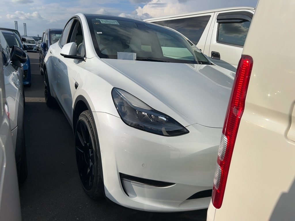 2023 Tesla Model